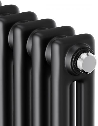 Стальной трубчатый радиатор 2-колончатый Royal Thermo Insignia C2180 - 04 секц. RAL9005m, боковое 1/2