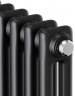 Стальной трубчатый радиатор 2-колончатый Royal Thermo Insignia C2180 - 06 секц. RAL9005m, боковое 1/2