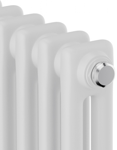 Стальной трубчатый радиатор 2-колончатый Royal Thermo Insignia C2180 - 06 секц. RAL9016, боковое 1/2