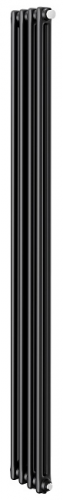 Стальной трубчатый радиатор 2-колончатый Royal Thermo Insignia VC2180 - 04 секц. RAL9005m, нижнее 1/2