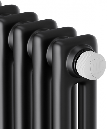 Стальной трубчатый радиатор 2-колончатый Royal Thermo Insignia VC2180 - 06 секц. RAL9005m, нижнее 1/2